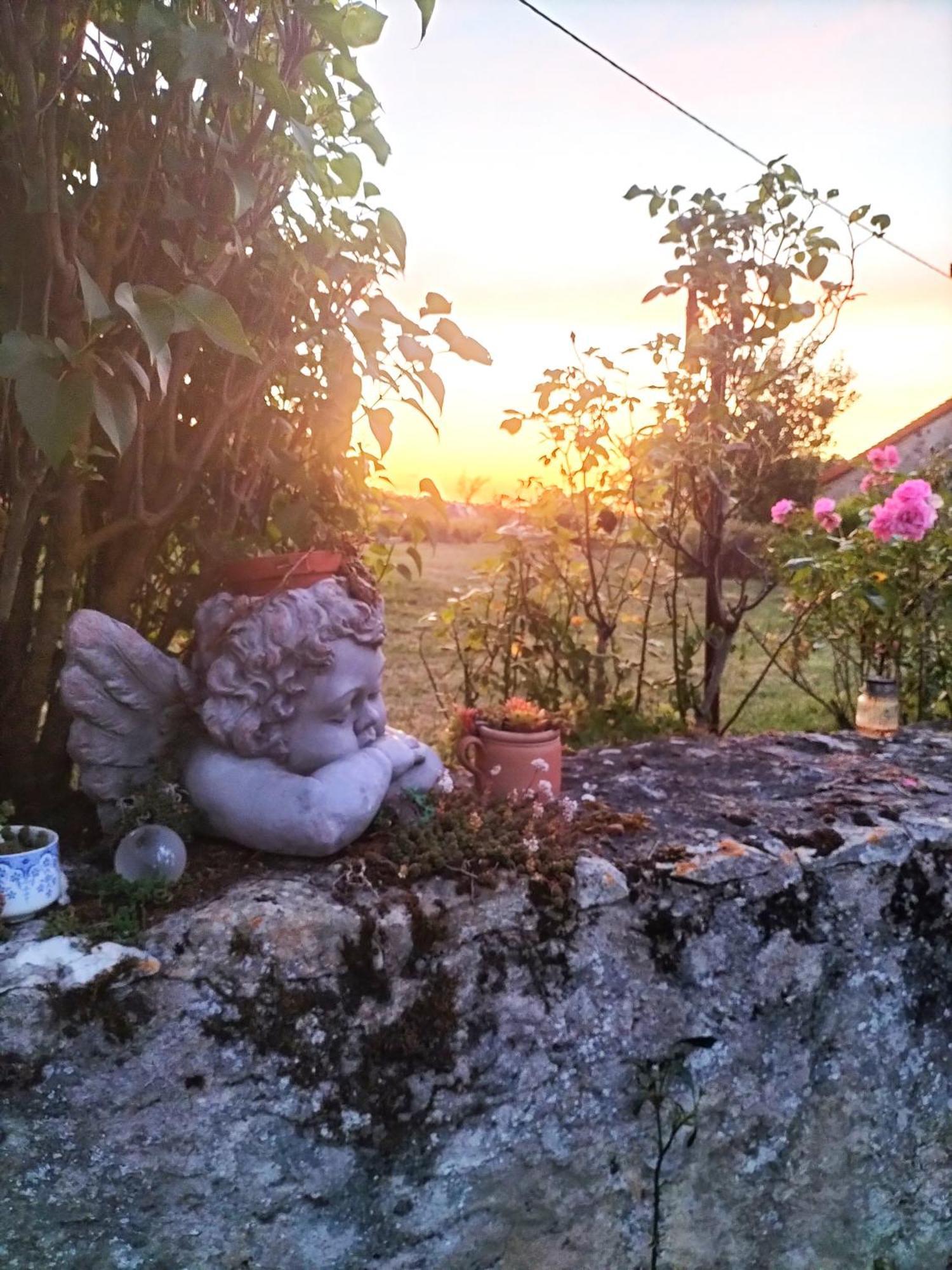 Charmante Maison, Calme Et Nature A La Roche Posay Villa Buitenkant foto