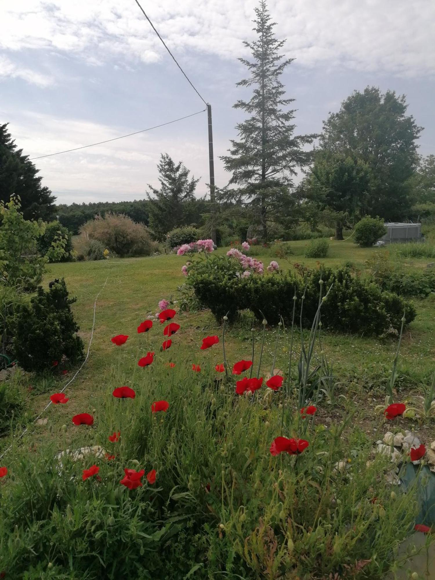Charmante Maison, Calme Et Nature A La Roche Posay Buitenkant foto