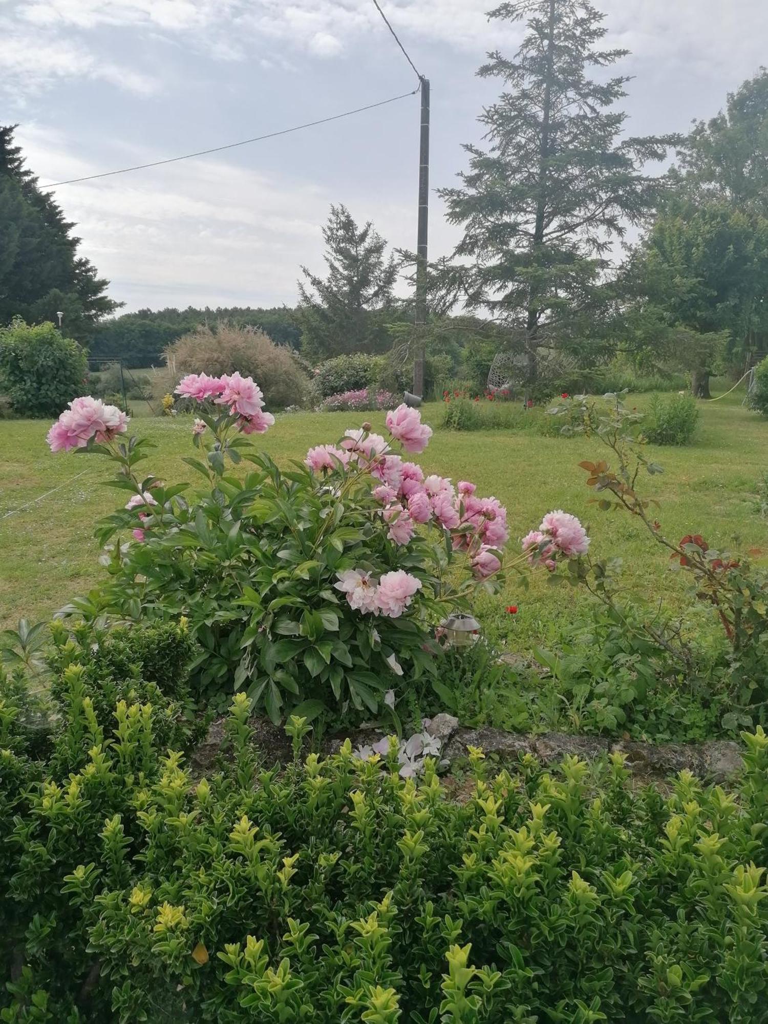 Charmante Maison, Calme Et Nature A La Roche Posay Villa Buitenkant foto