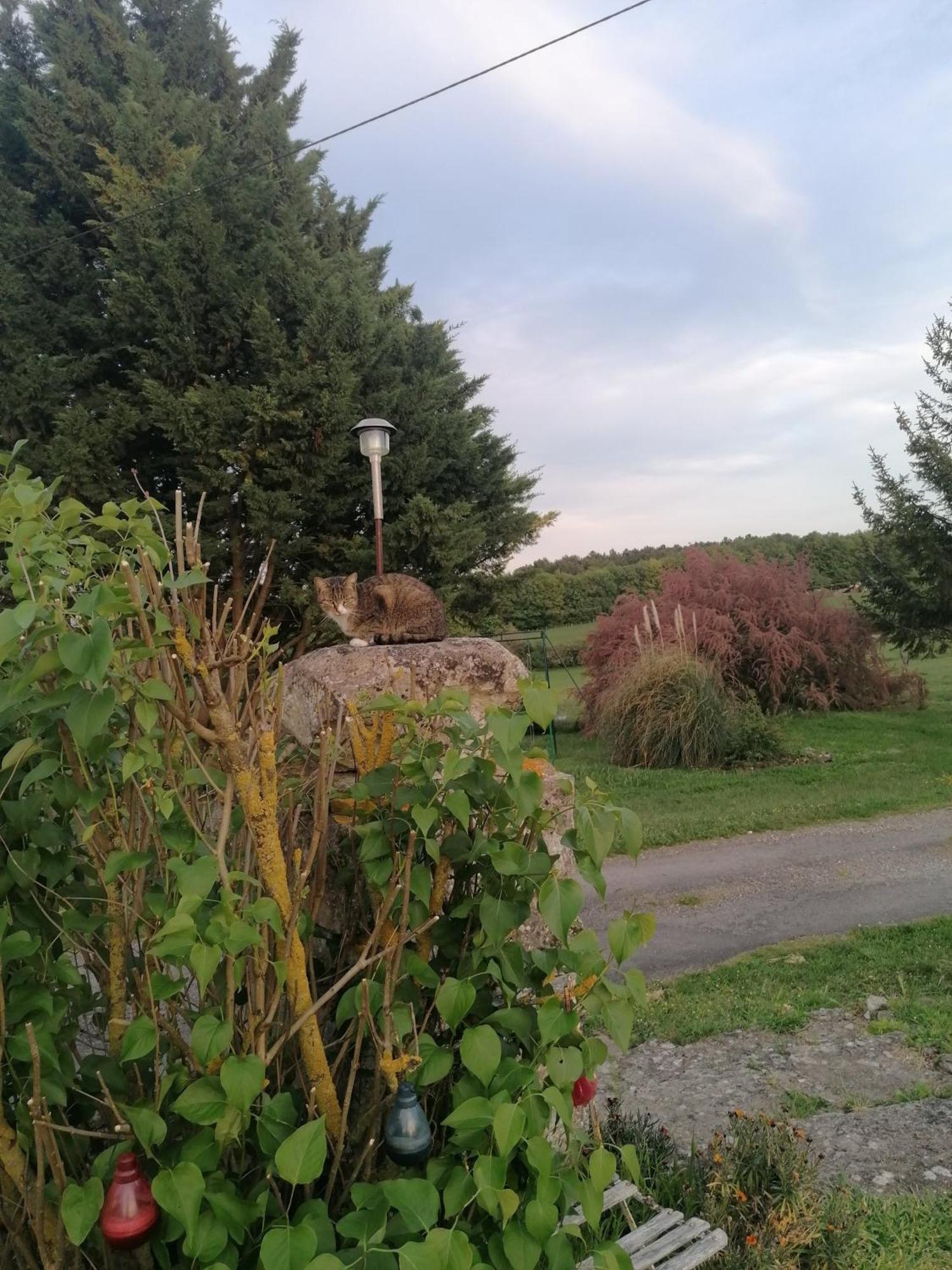 Charmante Maison, Calme Et Nature A La Roche Posay Villa Buitenkant foto