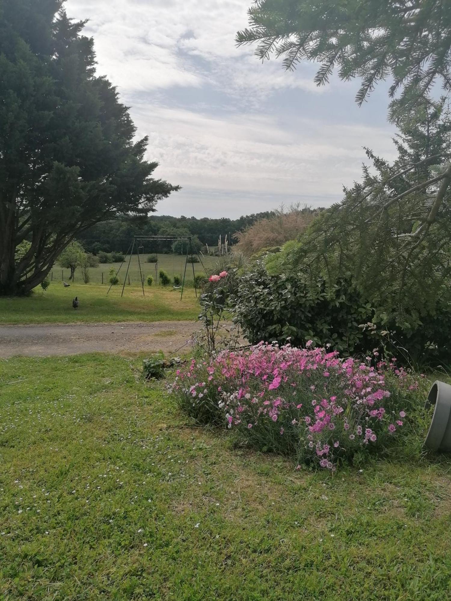 Charmante Maison, Calme Et Nature A La Roche Posay Buitenkant foto